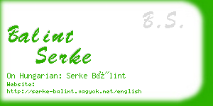 balint serke business card